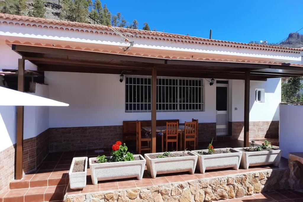 Casa Rural Los Cipreses. Cercados de Araña San Bartolomé Exterior foto