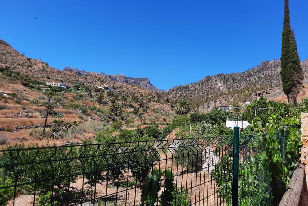 Casa Rural Los Cipreses. Cercados de Araña San Bartolomé Exterior foto